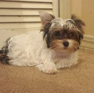 Meet your Posher, Jay